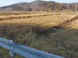 青森県三戸郡五戸町の競売物件 87万円 農地 5,637m&sup2;
