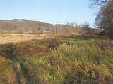 青森県三戸郡五戸町の競売物件 70万円 農地 5,341m&sup2;