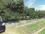 長野県上田市の競売物件 35万円 農地 859m&sup2;