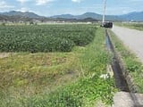 長野県上田市の競売物件 52万円 農地 2,890m&sup2;