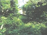 栃木県矢板市の競売物件 166万円 土地 588m&sup2;