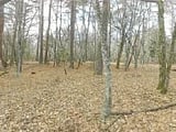 山梨県南都留郡山中湖村の競売物件 621万円 土地 1,355m&sup2;
