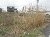 福岡県中間市の競売物件 537万円 土地 1,401m&sup2;