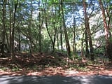 山梨県南都留郡鳴沢村の官公庁公売物件 22万円 土地 167m&sup2;