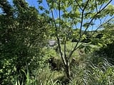 兵庫県洲本市の官公庁公売物件 30万円 土地 188m&sup2;