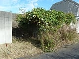 千葉県八街市の官公庁公売物件 175万円 土地 258m&sup2;