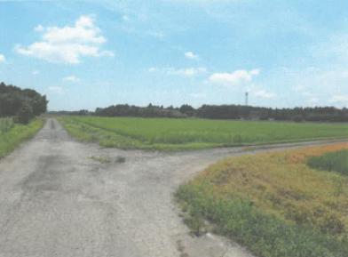 茨城県水戸市の競売物件 112万円 農地 6,336m&sup2;