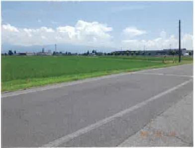 長野県安曇野市の競売物件 50万円 農地 3,338m&sup2;