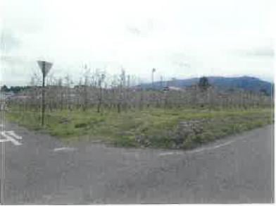 長野県松本市の競売物件 175万円 農地 3,232m&sup2;