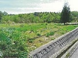 新潟県三条市の競売物件 1,036万円 土地 2,912m&sup2;