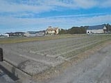 兵庫県南あわじ市の競売物件 119万円 農地 978m&sup2;