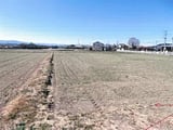 群馬県高崎市の競売物件 99万円 農地 2,779m&sup2;