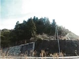 和歌山県日高郡日高川町の競売物件 41万円 農地 1,920m&sup2;