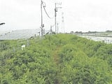 茨城県稲敷市の競売物件 403万円 土地 9,903m&sup2;