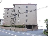千葉県市川市の競売物件 3,384万円 マンション 79m&sup2;