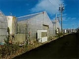 愛知県田原市の競売物件 51万円 農地 991m&sup2;