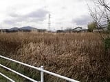 愛知県豊川市の競売物件 244万円 農地 5,178m&sup2;
