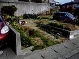 愛知県蒲郡市の競売物件 203万円 農地 96m&sup2;