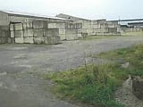 鳥取県東伯郡琴浦町の競売物件 354万円 土地 3,187m&sup2;