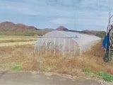 福島県須賀川市の競売物件 5万円 農地 831m&sup2;
