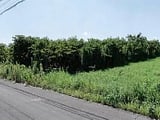 愛知県豊橋市の競売物件 72万円 農地 821m&sup2;
