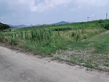 愛知県豊橋市の競売物件 27万円 農地 540m&sup2;