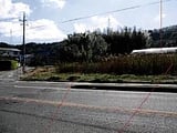 愛知県田原市の競売物件 53万円 農地 3,131m&sup2;