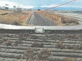 徳島県板野郡松茂町の競売物件 267万円 農地 1,743m&sup2;