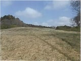 岩手県一関市の競売物件 69万円 農地 6,385m&sup2;