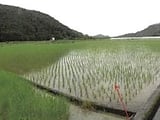 高知県宿毛市の競売物件 161万円 農地 2,976m&sup2;