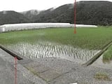 高知県宿毛市の競売物件 164万円 農地 2,982m&sup2;