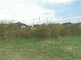 福岡県築上郡築上町の競売物件 125万円 土地 310m&sup2;
