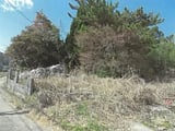 佐賀県武雄市の競売物件 98万円 土地 534m&sup2;