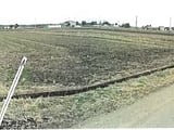 栃木県塩谷郡高根沢町の競売物件 37万円 農地 1,810m&sup2;