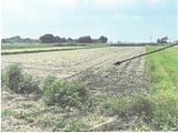 栃木県栃木市の競売物件 48万円 農地 2,571m&sup2;