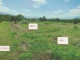 山梨県笛吹市の競売物件 80万円 農地 1,373m&sup2;