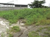 鹿児島県志布志市の競売物件 379万円 土地 3,777m&sup2;