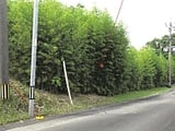 鹿児島県志布志市の競売物件 170万円 土地 1,238m&sup2;