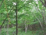 北海道苫小牧市の競売物件 78万円 土地 99,173m&sup2;
