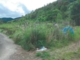 和歌山県田辺市の競売物件 47万円 農地 4,756m&sup2;