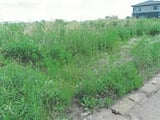 新潟県新潟市西蒲区の競売物件 280万円 土地 1,209m&sup2;