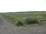 鹿児島県出水市の競売物件 74万円 農地 3,026m&sup2;
