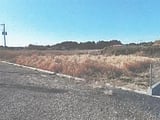 茨城県鉾田市の競売物件 530万円 土地 1,951m&sup2;