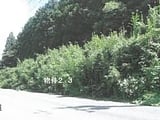 栃木県矢板市の競売物件 15万円 農地 532m&sup2;