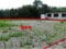 高知県土佐清水市の国有財産物件 127万円 土地 371m²