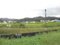 島根県大田市の競売物件 166万円 土地 984m²