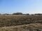 栃木県小山市の国税庁公売物件 145万円 農地 4,912m²