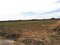 宮崎県児湯郡新富町の競売物件 38万円 農地 1,694m²
