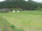 兵庫県丹波市の競売物件 17万円 農地 821m&sup2;
