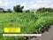 鹿児島県霧島市の国税庁公売物件 105万円 農地 726m&sup2;